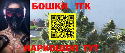 гидра Новодвинск