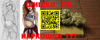 гидра Новодвинск