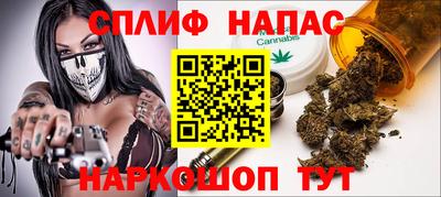 гидра Новодвинск