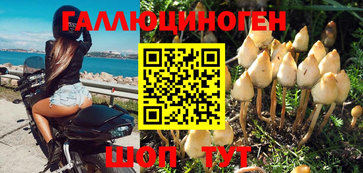 Галлюциногенные грибы MAGIC MUSHROOMS Тулун
