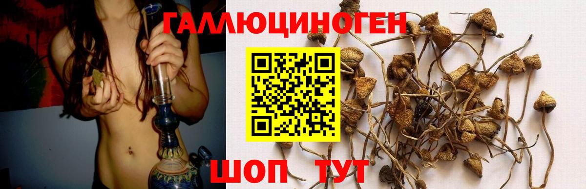 Галлюциногенные грибы Magic Shrooms  Вход с VPN  Тулун 
